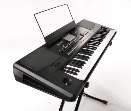 Korg PA300