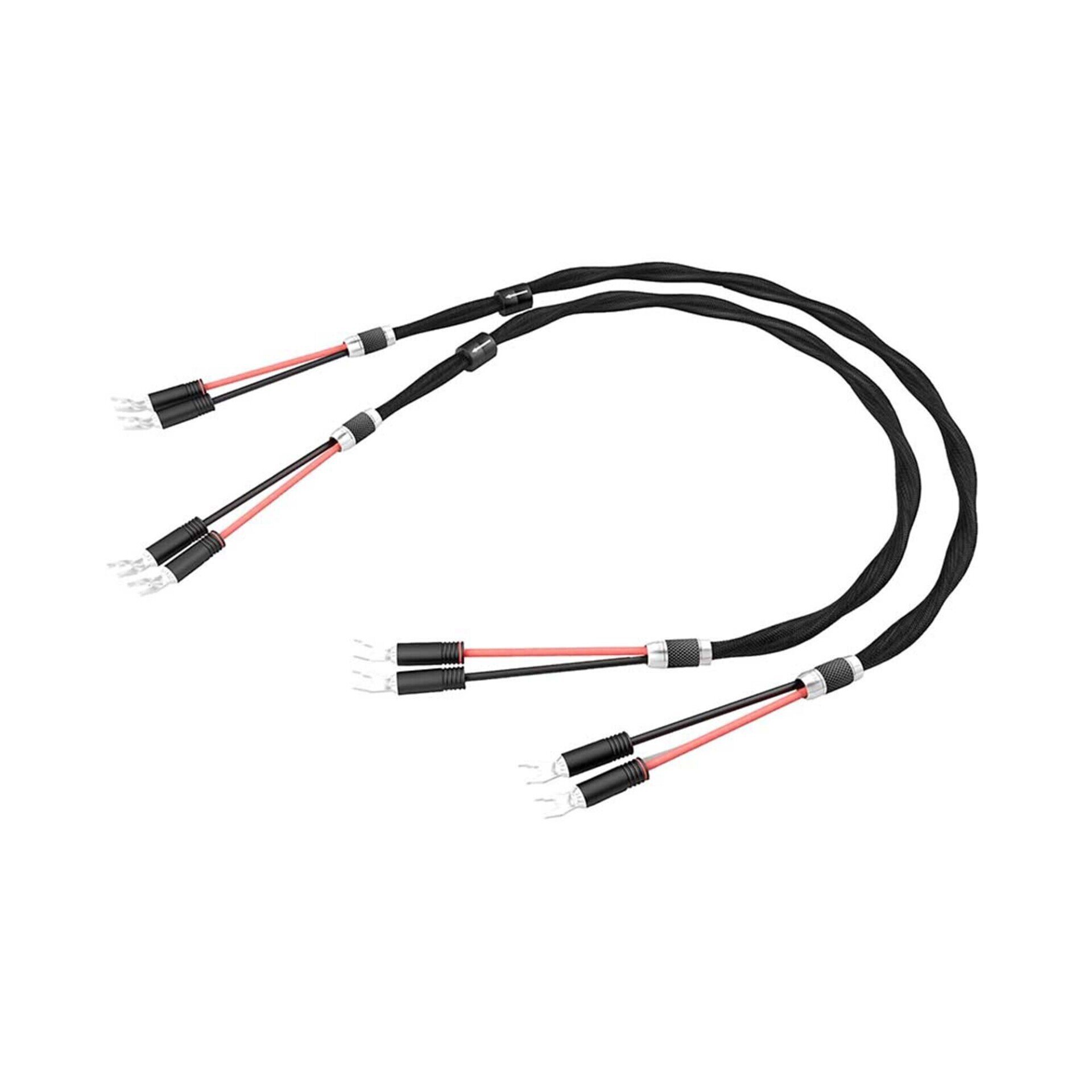 ESPRIT Eterna Speaker Cable - 6m