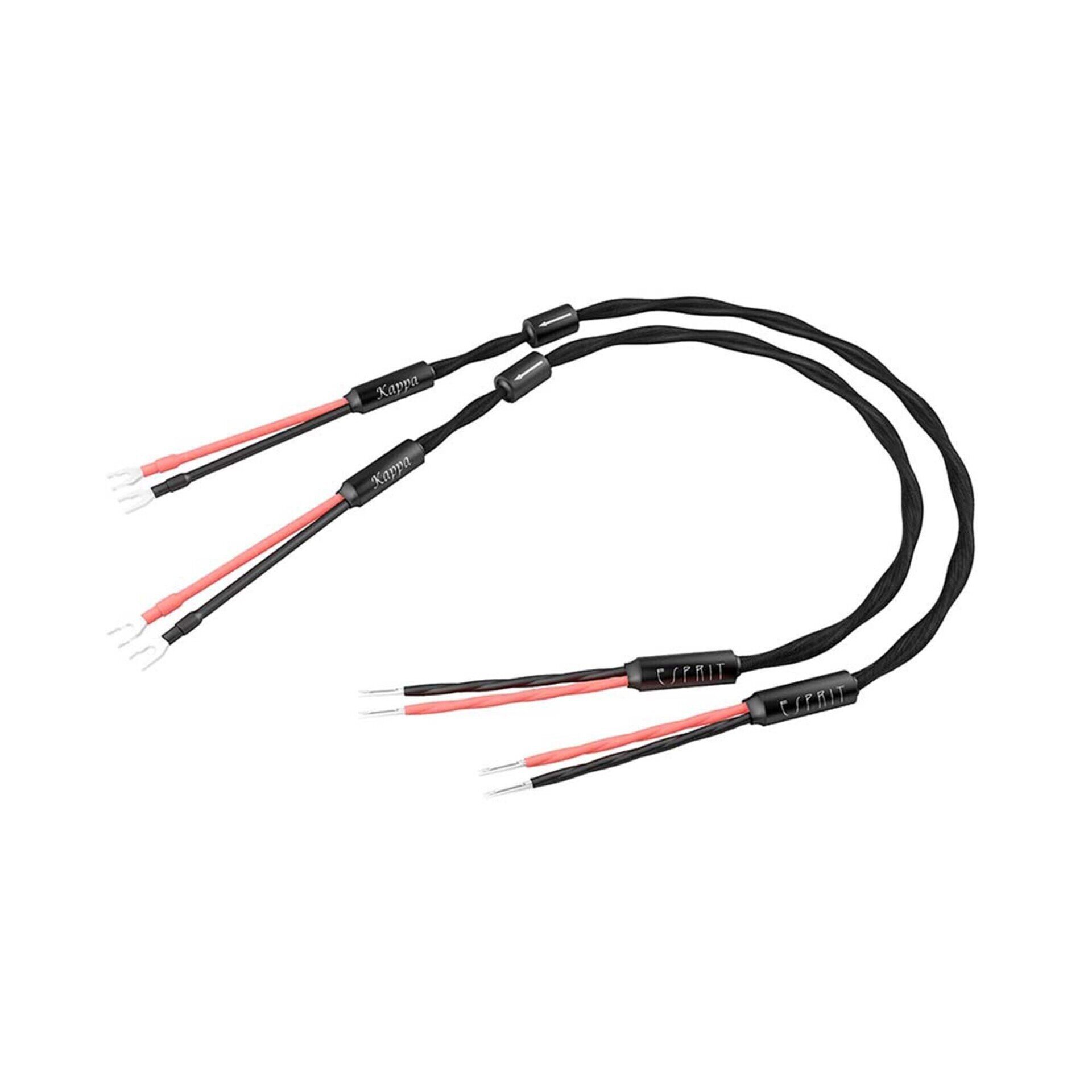 ESPRIT Kappa Speaker Cable - 2m
