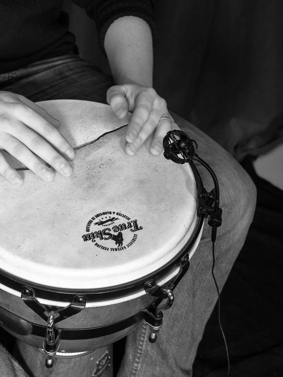 Prodipe PL21 Percussion