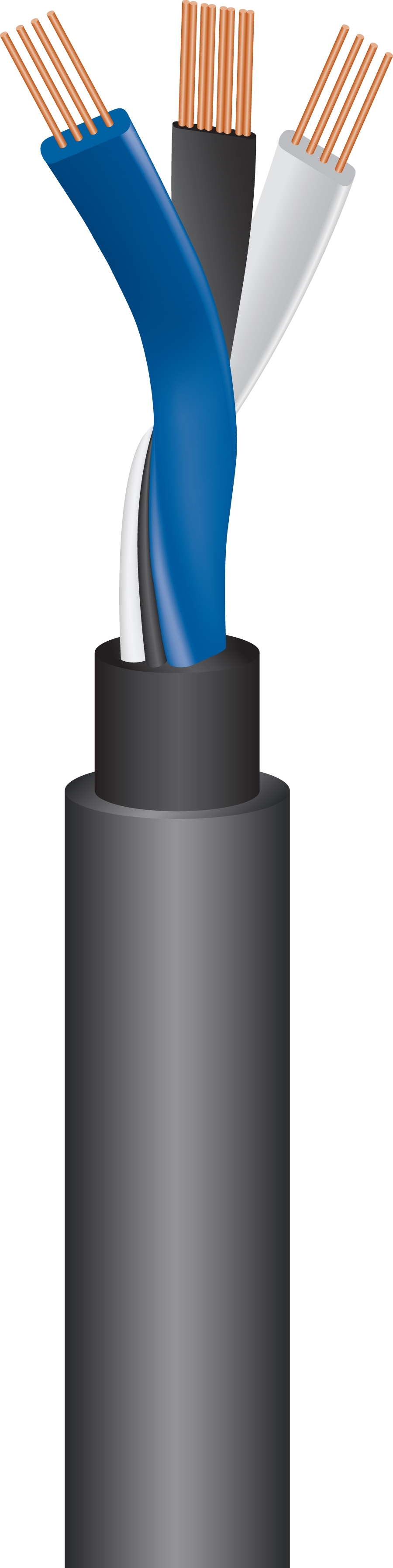 Wireworld Equinox 8 XLR - 6m