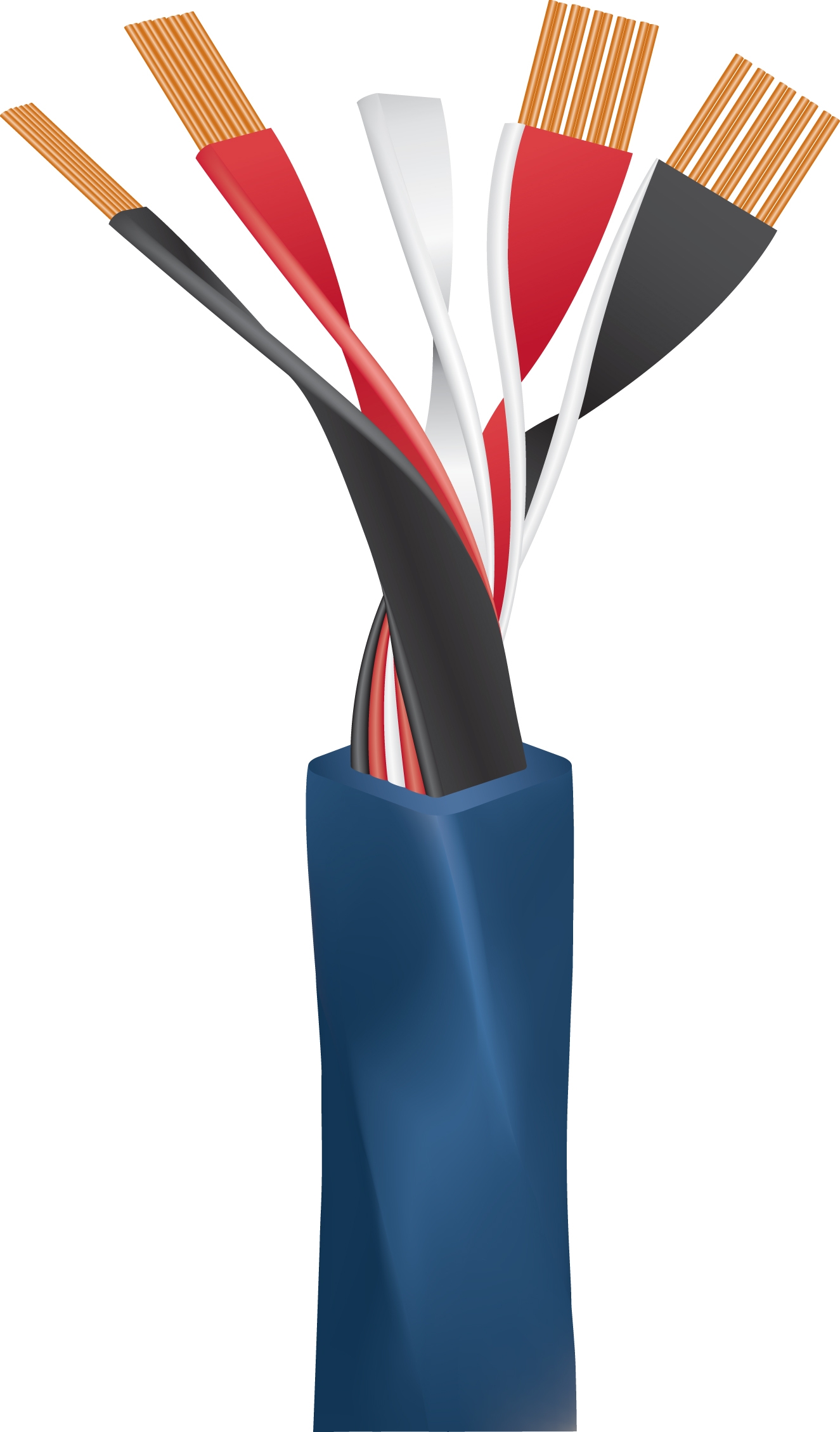 Wireworld Oasis 8 Speaker Cable - 5m