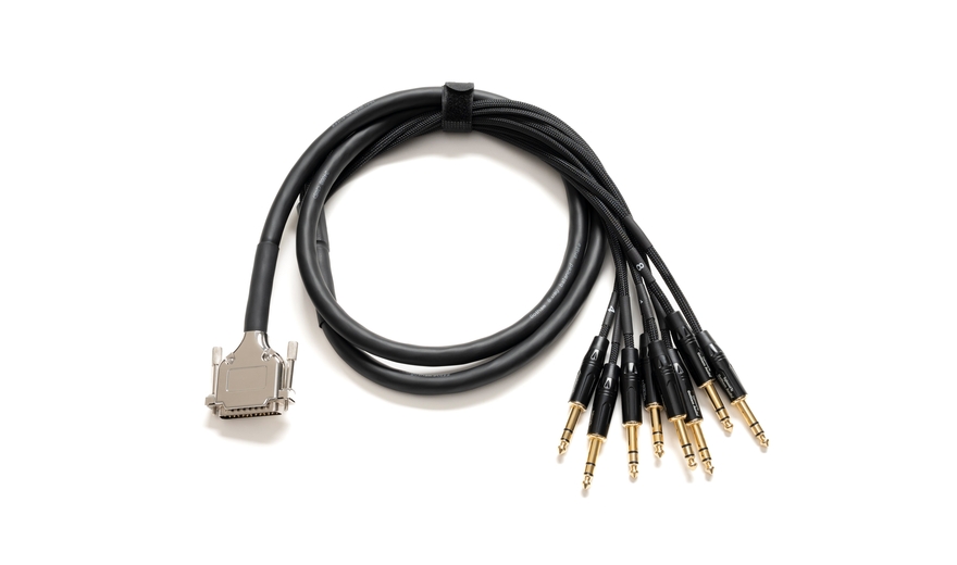 Warm Audio Premier DB25-TRSm-10' (3 meters) DB25 - TRS-MALE