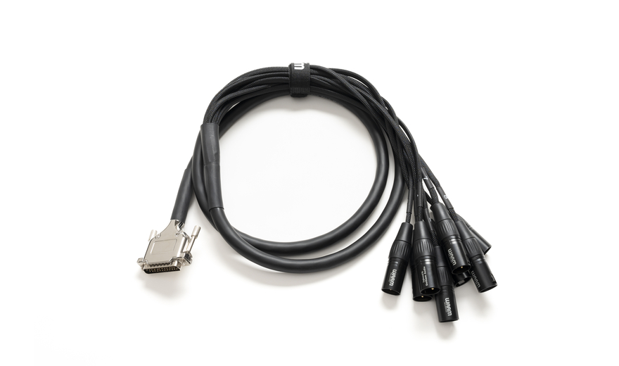 Warm Audio Premier DB25-XLRm-10' (3 meters) DB25 - XLR-MALE